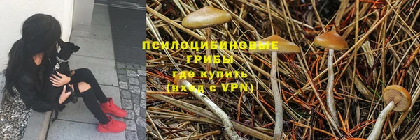 дурь Покров
